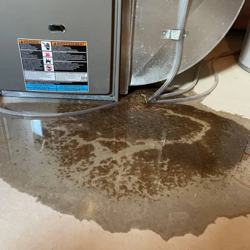 Appliance Leak Cleanup in Pinetops, NC